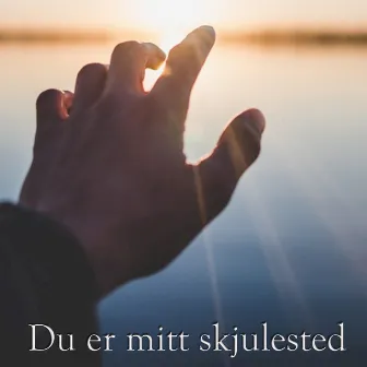 Du er mitt skjulested (Remastered) by Josty