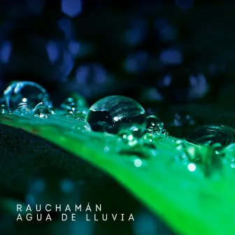 Agua de Lluvia by RAUCHAMAN