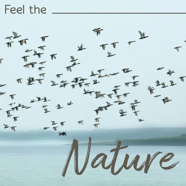 Feel the Nature: Deeply Relaxing Sounds of Birds and Water Elements