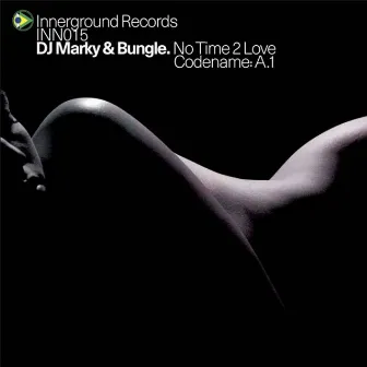 No Time 2 Love / Codename:A.1 by Bungle