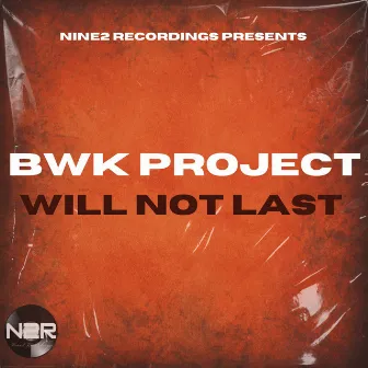 Will Not Last by BWK Project