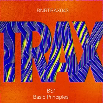 Basic Principles by BS1