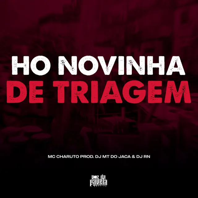 Ho Novinha de Triagem