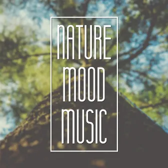 Nature Mood Music – Serenity Mother Nature, Calm Music for Relaxation, Deep Sounds for Meditation, Healing Forest Sounds by Rainforest