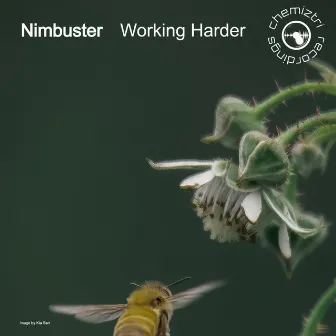 Working Harder by Nimbuster