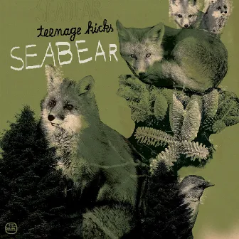 Teenage Kicks / Piano Hands by Seabear