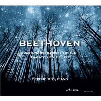 Beethoven by Ferenc Vizi