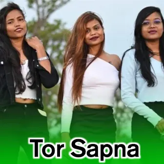 Tor Sapna by 