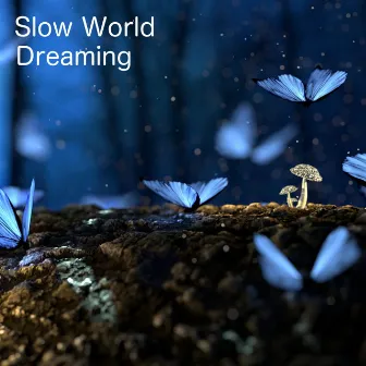 Dreaming by Slow World