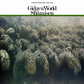 Gidayu World in Shamisen by 鶴澤清治