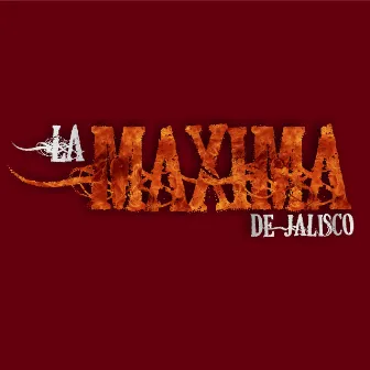 Aunque les Duela by La Máxima De Jalisco