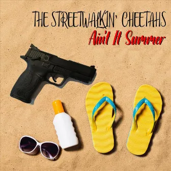 Ain't It Summer by The Streetwalkin' Cheetahs