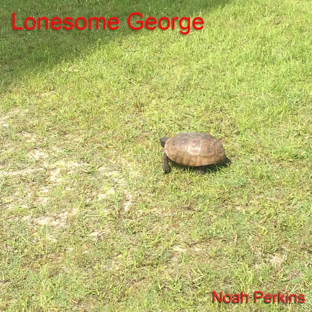 Lonesome George