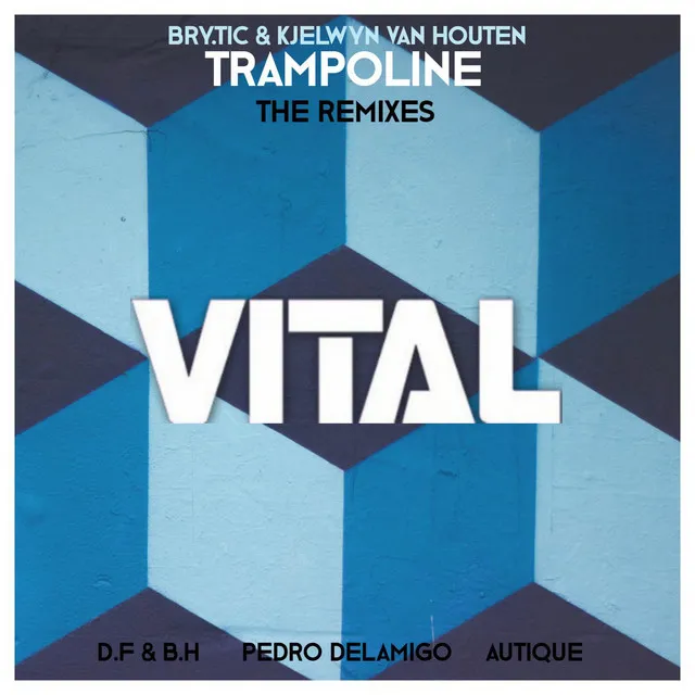 Trampoline (Pedro Delamigo Remix)