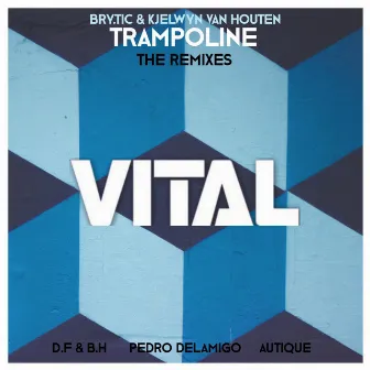 Trampoline - The Remixes by Bry.Tic