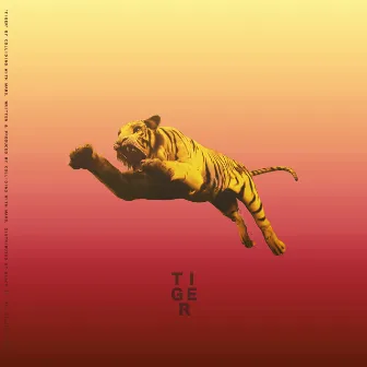 TIGER by Colliding With Mars