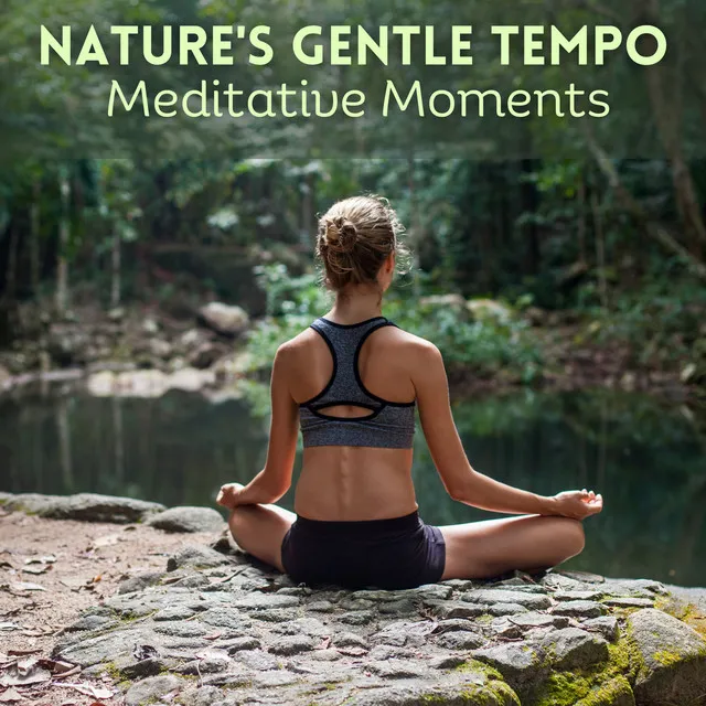 Nature's Gentle Tempo: Meditative Moments