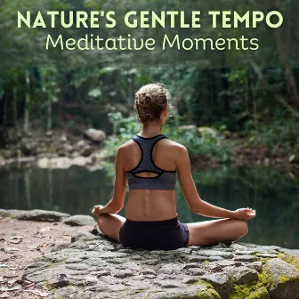 Nature's Gentle Tempo: Meditative Moments by Whispering Nature