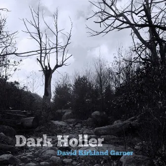 David Kirkland Garner: Dark Holler by David Kirkland Garner