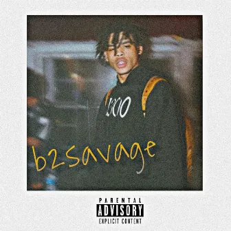 Damage by b2savage