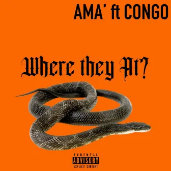 Where they At? by AMA'