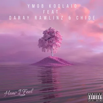 How I Feel by YMOB Koolaid