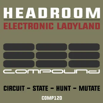 Electronic Ladyland by Headroom