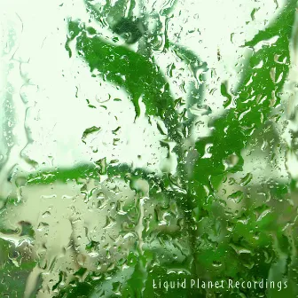 Calming Rain Sounds by Liquid Planet Recordings