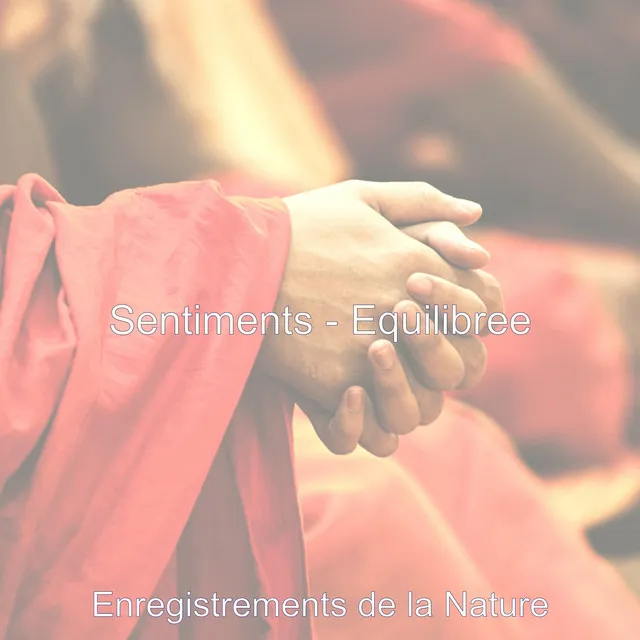 Sentiments - Equilibree