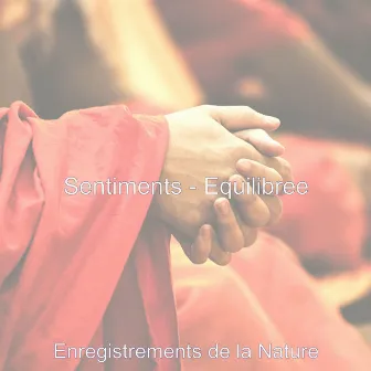 Sentiments - Equilibree by Enregistrements de la Nature