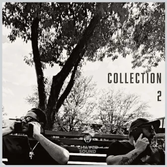 Collection 2 by Ric Chavez