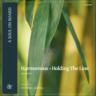 Holding the Line (Remixes) by Harmonious