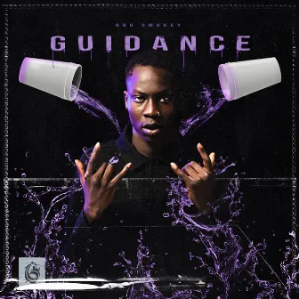 Guidance by BBG Smokey