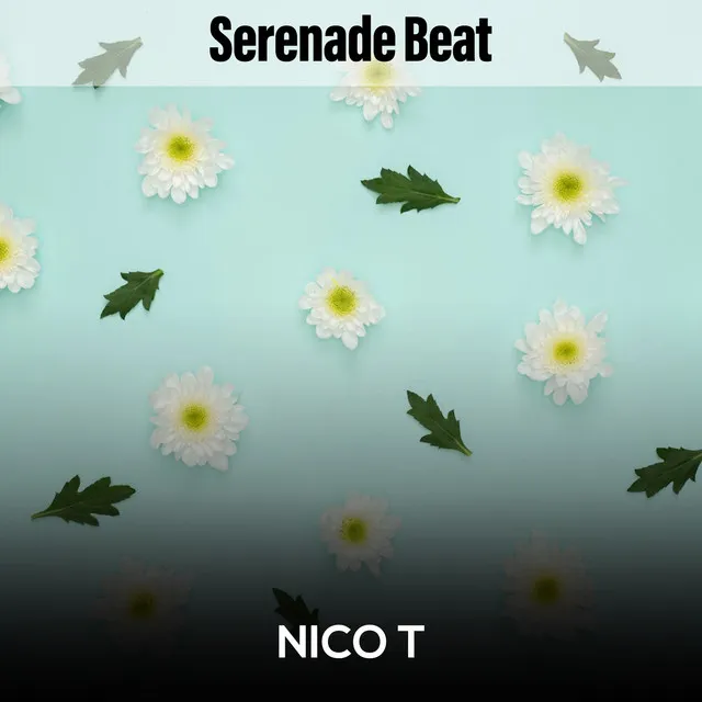 Serenade Beat