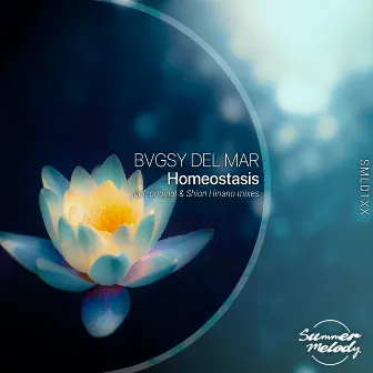 Homeostasis by BVGSY DEL MAR