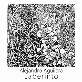 Laberinto by Alejandro Aguilera