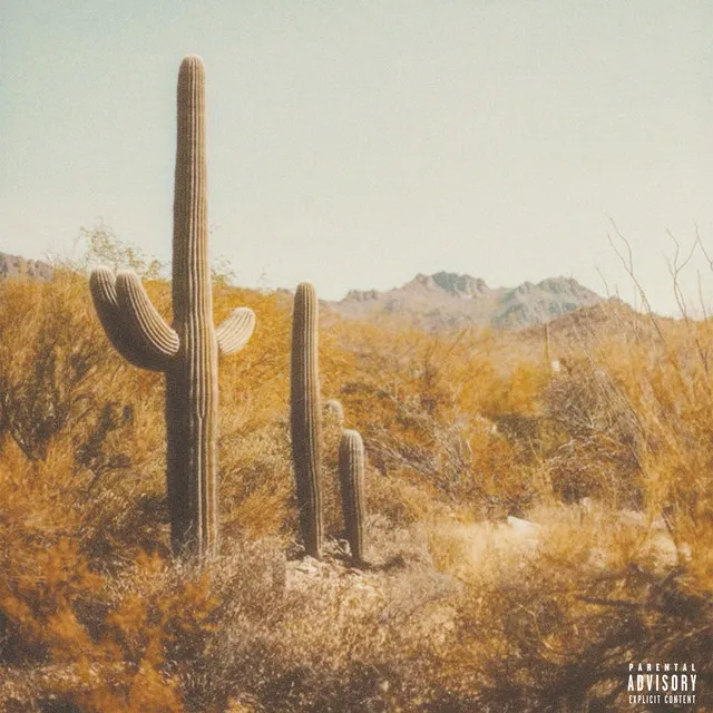 saguaro