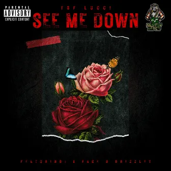 See Me Down by YSF Lucci