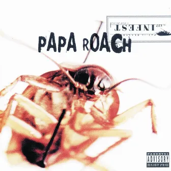 Infest by Papa Roach