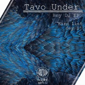 Hey Dj EP by Tavo Under