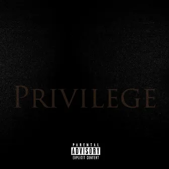 Privilege by Kobe J Banks