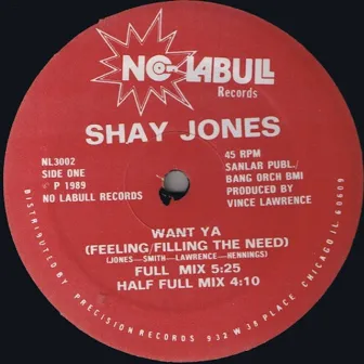 Want Ya (Feeling/Filling the Need) by Shay Jones