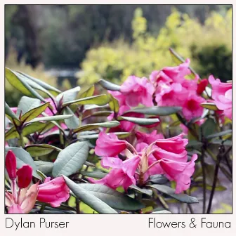 Flowers and Fauna by Dylan Purser