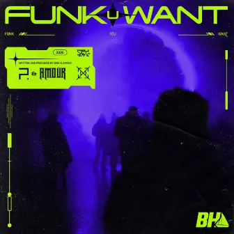 Funk You Want by Oing