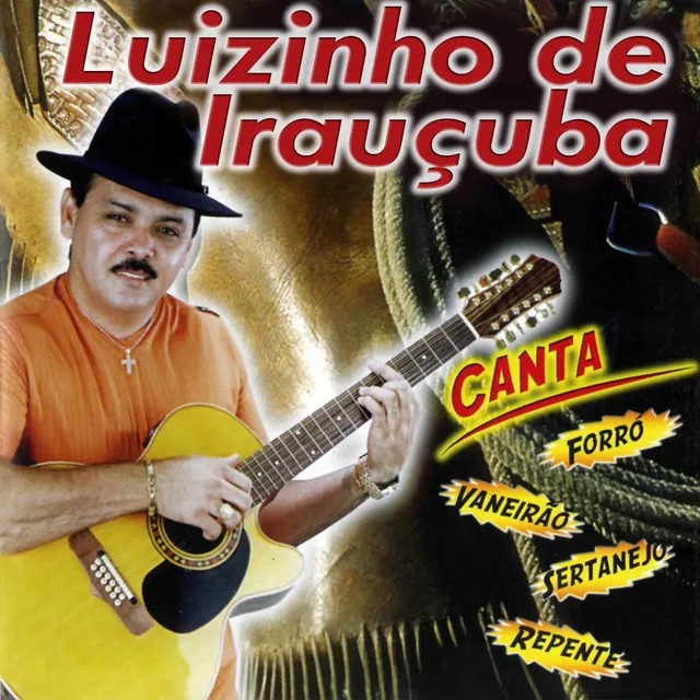 Luizinho de Irauçuba (Canta Forró, Vaneirão, Sertanejo, Repente)