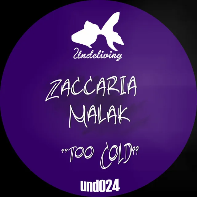 Too Cold - Paolo Tamoni Remix