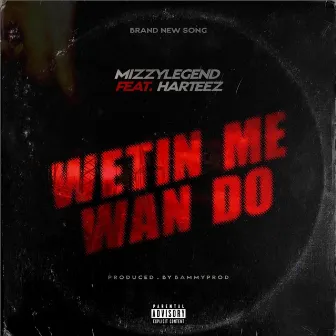 Wetin Me Wan Do by Mizzylegend