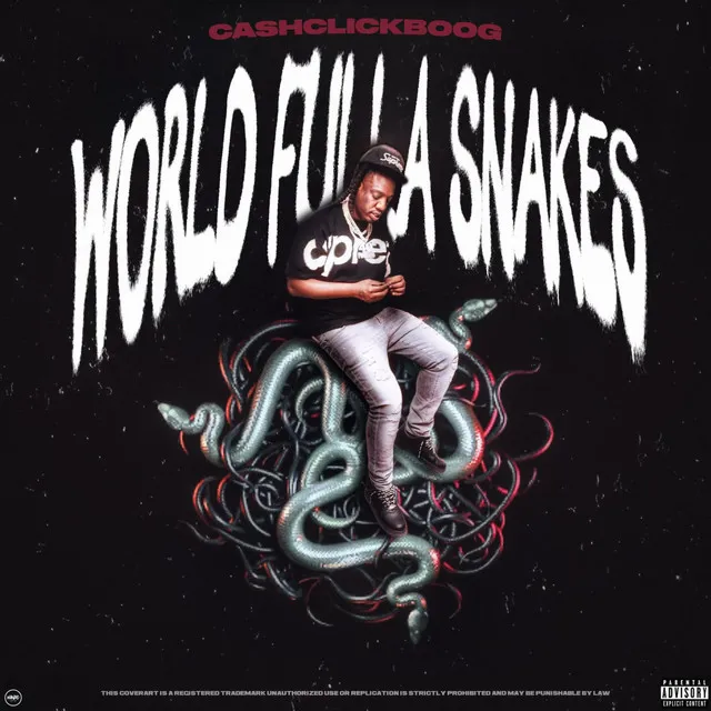 World Fulla Snakes