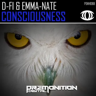 Consciousness by Emma-Nate