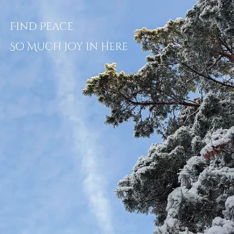 So Much Joy in Here by Find Peace